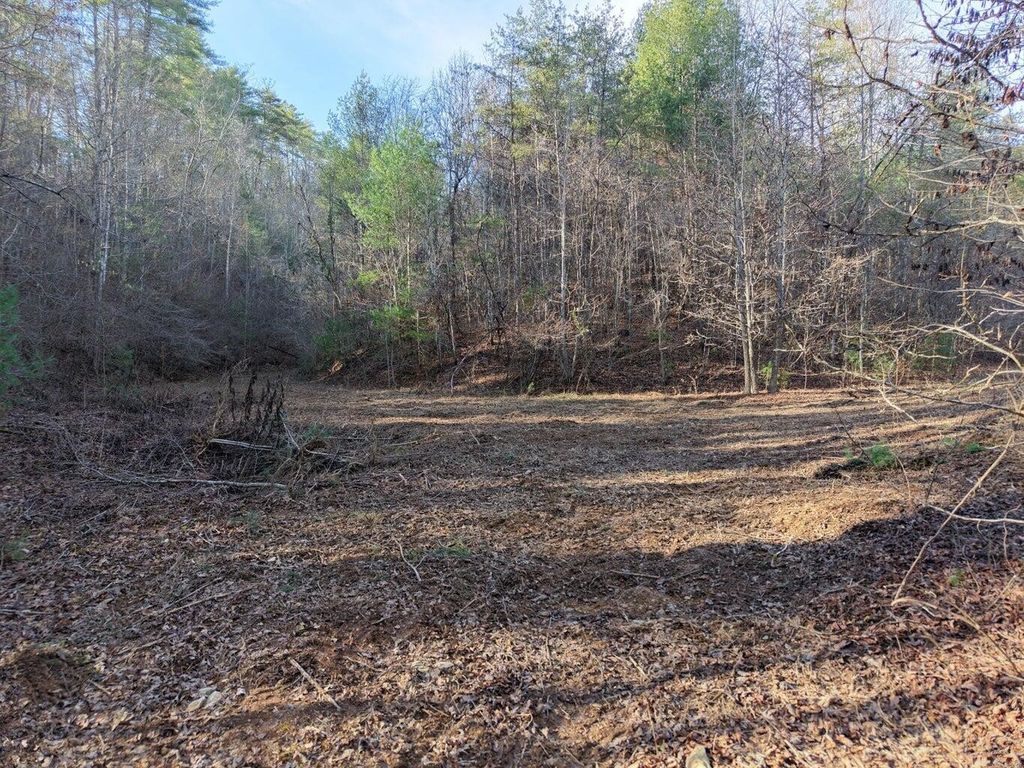 0 Bakers Creek Road, Old Fort