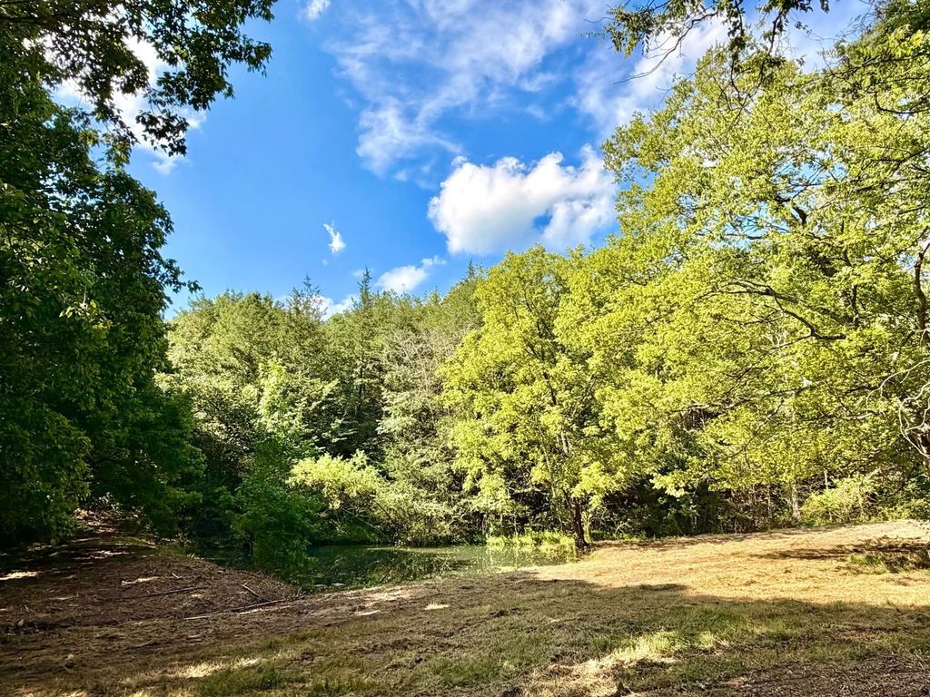 877 Hanna Branch Rd, Prospect