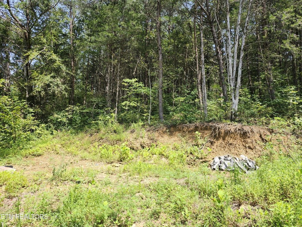 340 Swadis Drive, Sevierville