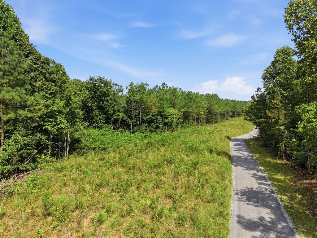 460 Bolin Rd, Crossville