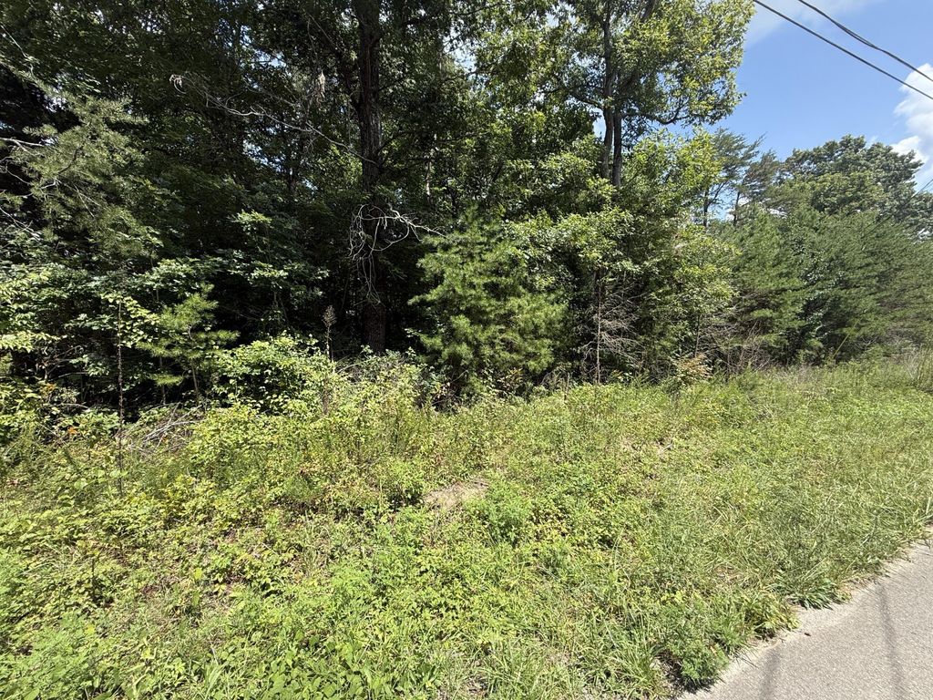 425 Woodland Avenue, Altamont