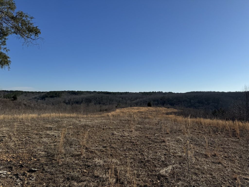 365 Twin Pines Overlook, Lobelville