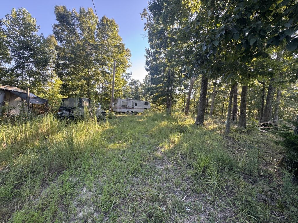 175 Fern Springs Rd, Hohenwald
