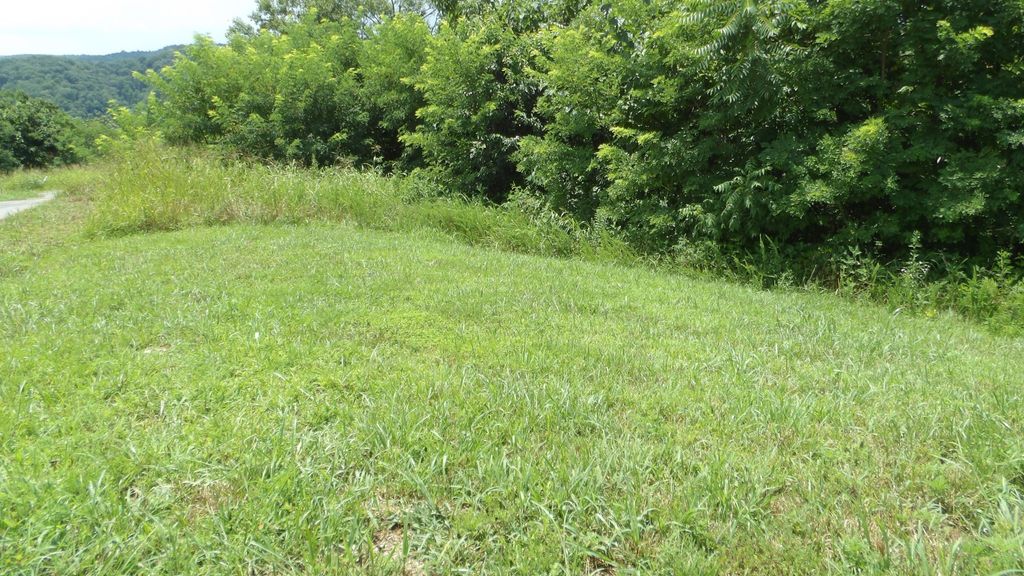 17 D Crappie Lane, Hilham