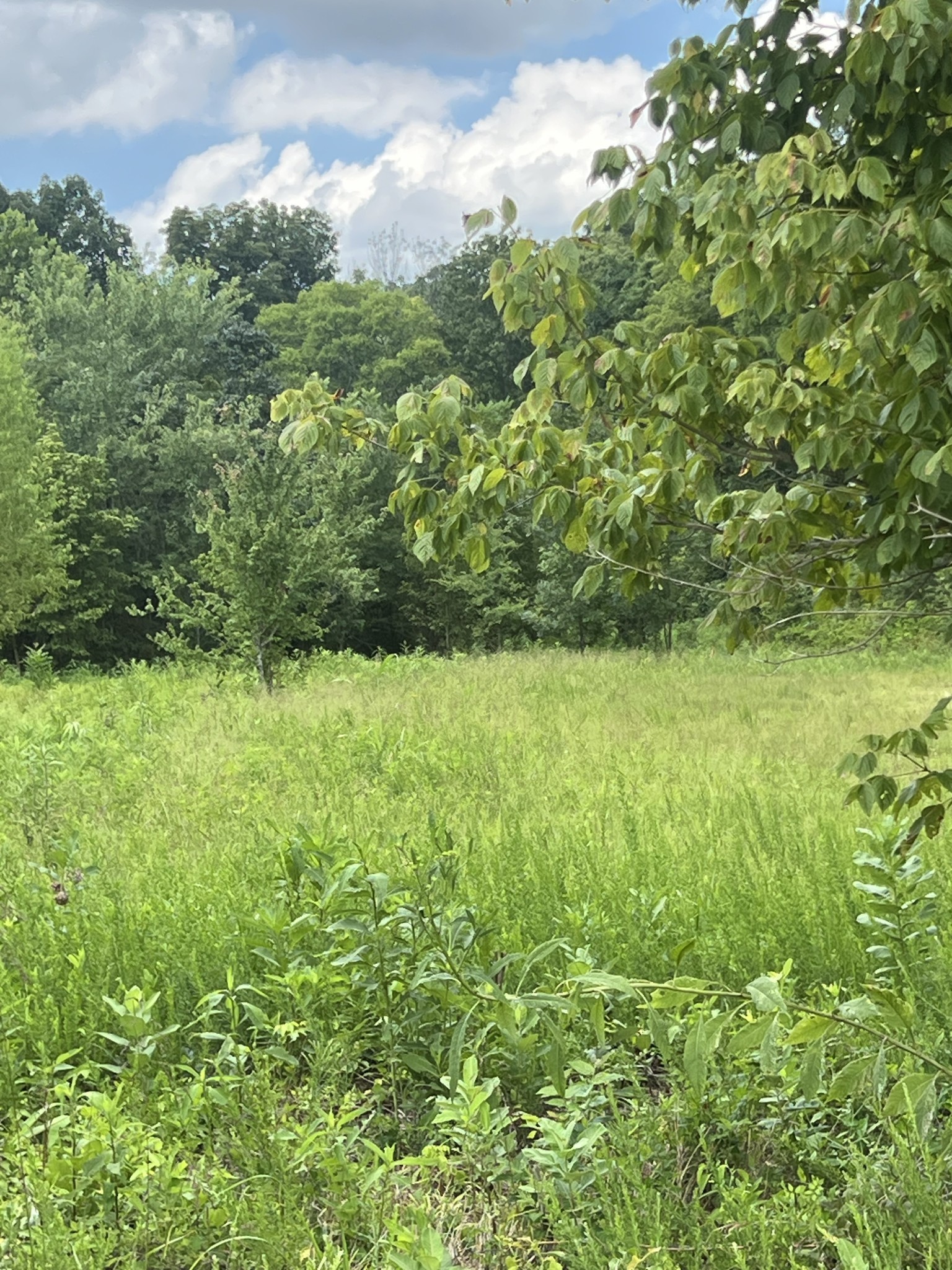 Photo of Listing #3516210