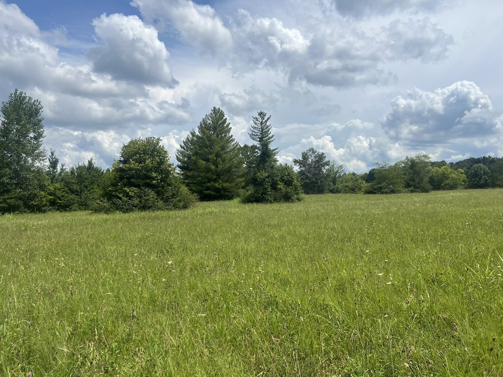 Photo of Listing #3516222