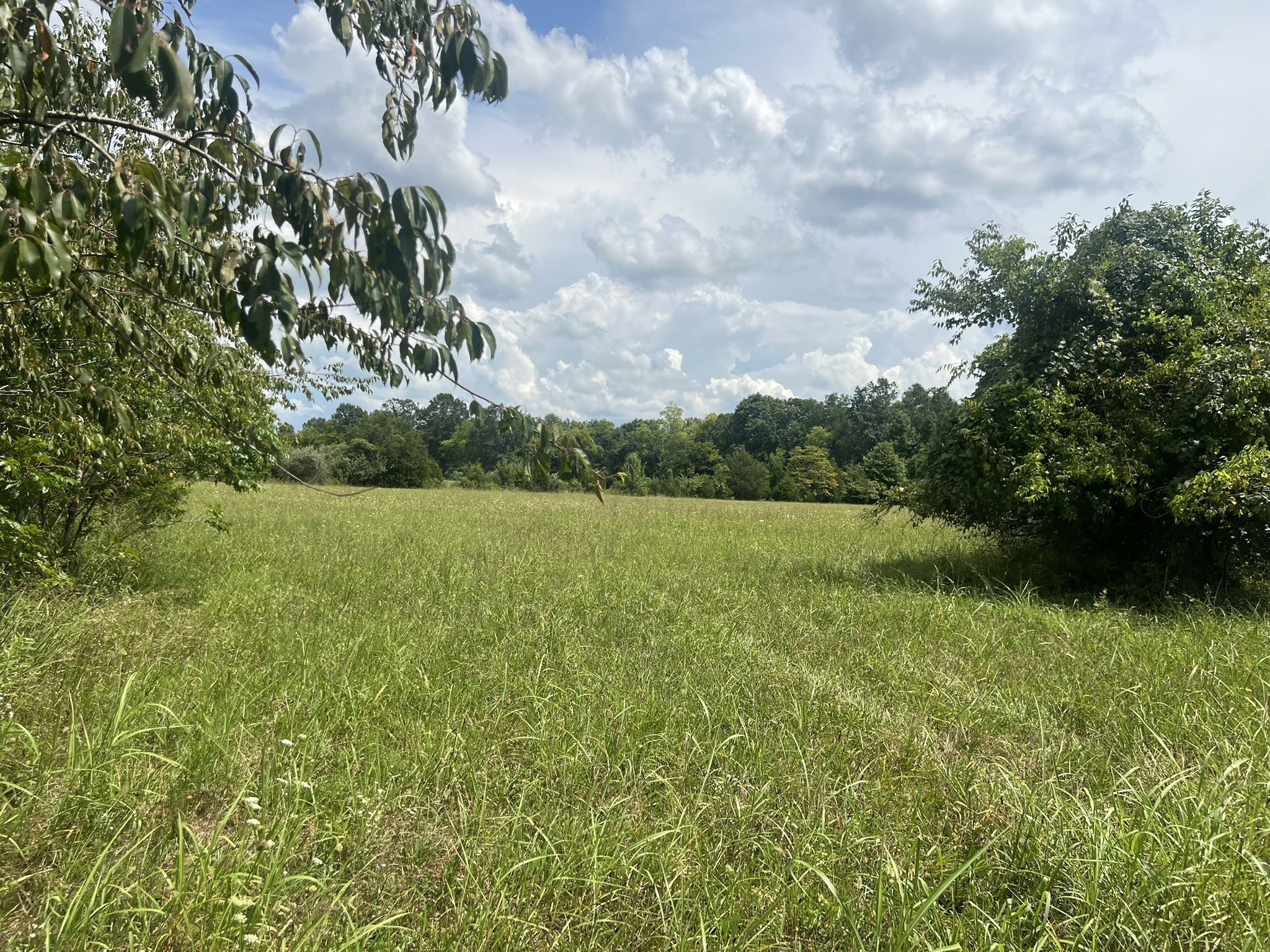 Photo of Listing #3516232