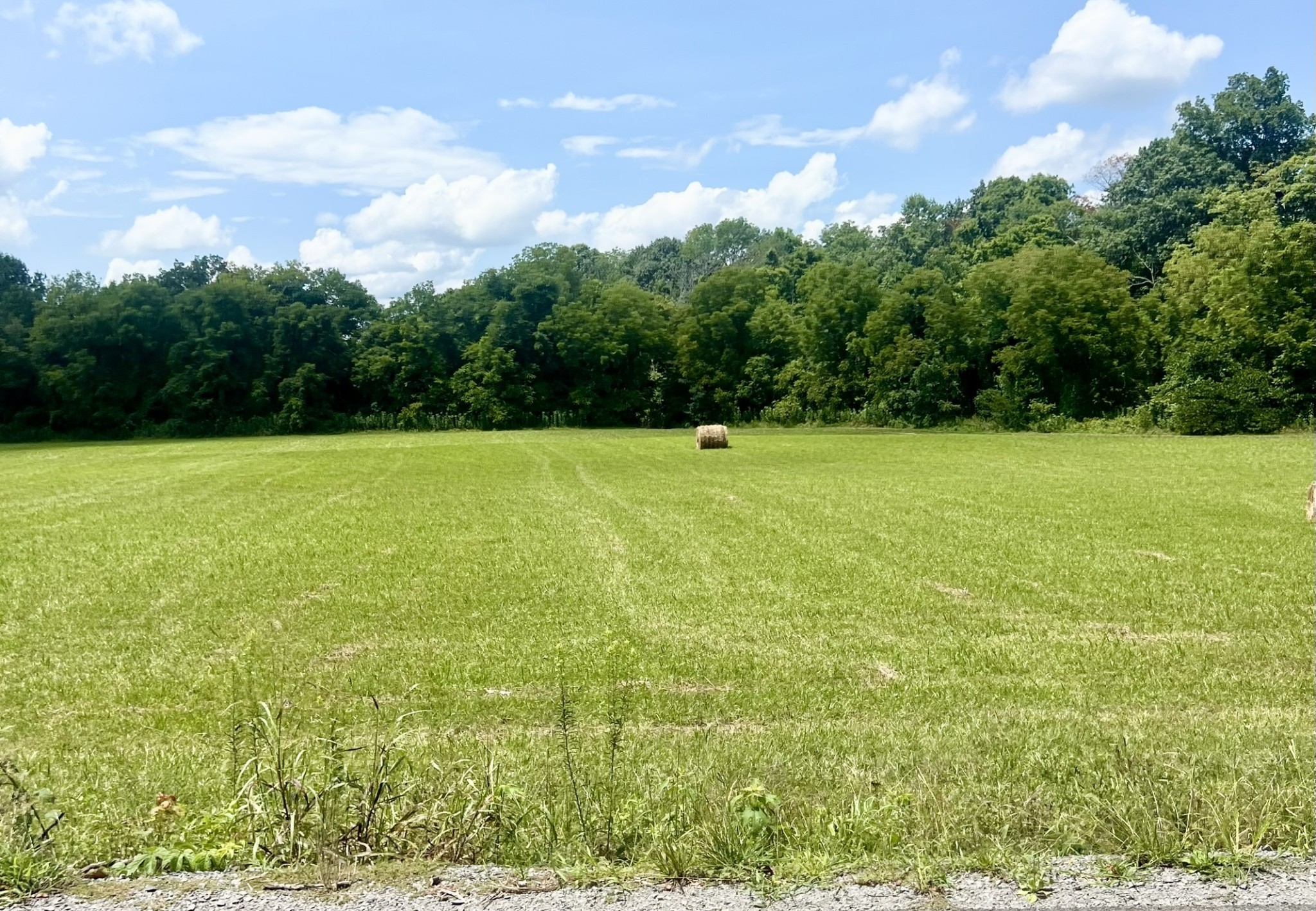 Photo of Listing #3516236