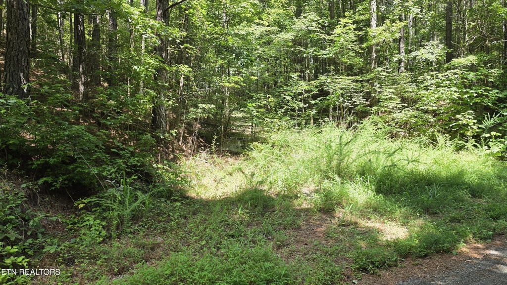 0 County Rd, Athens