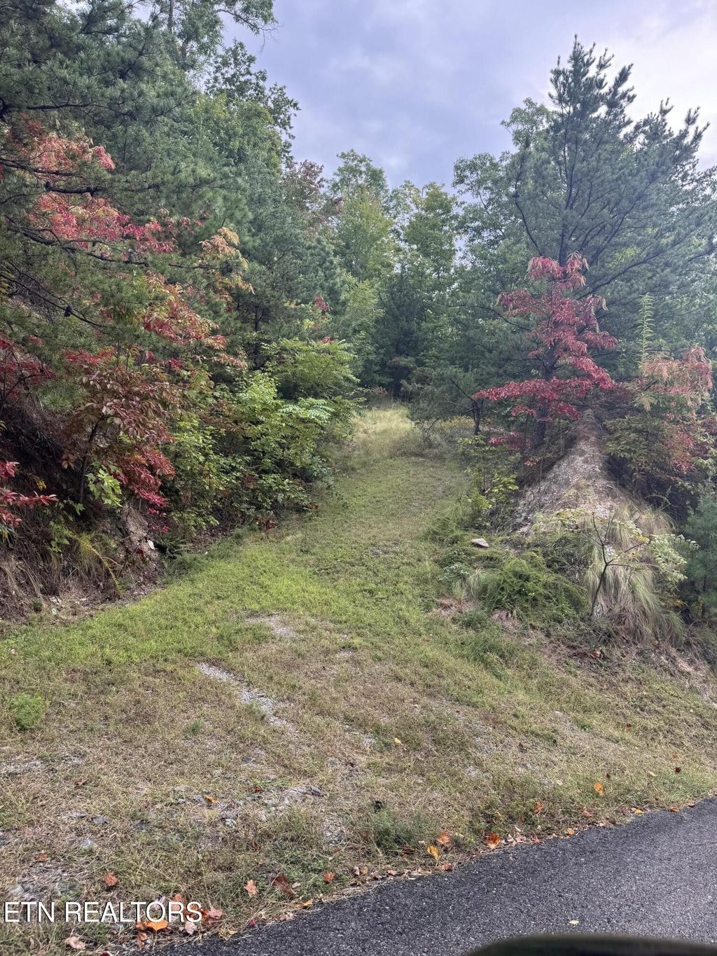 0 Enclave Park Way, Sevierville