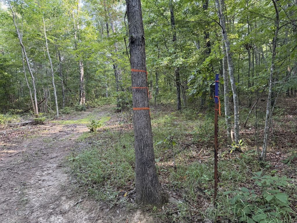 2603 Northcutts Cove Road, Beersheba Springs