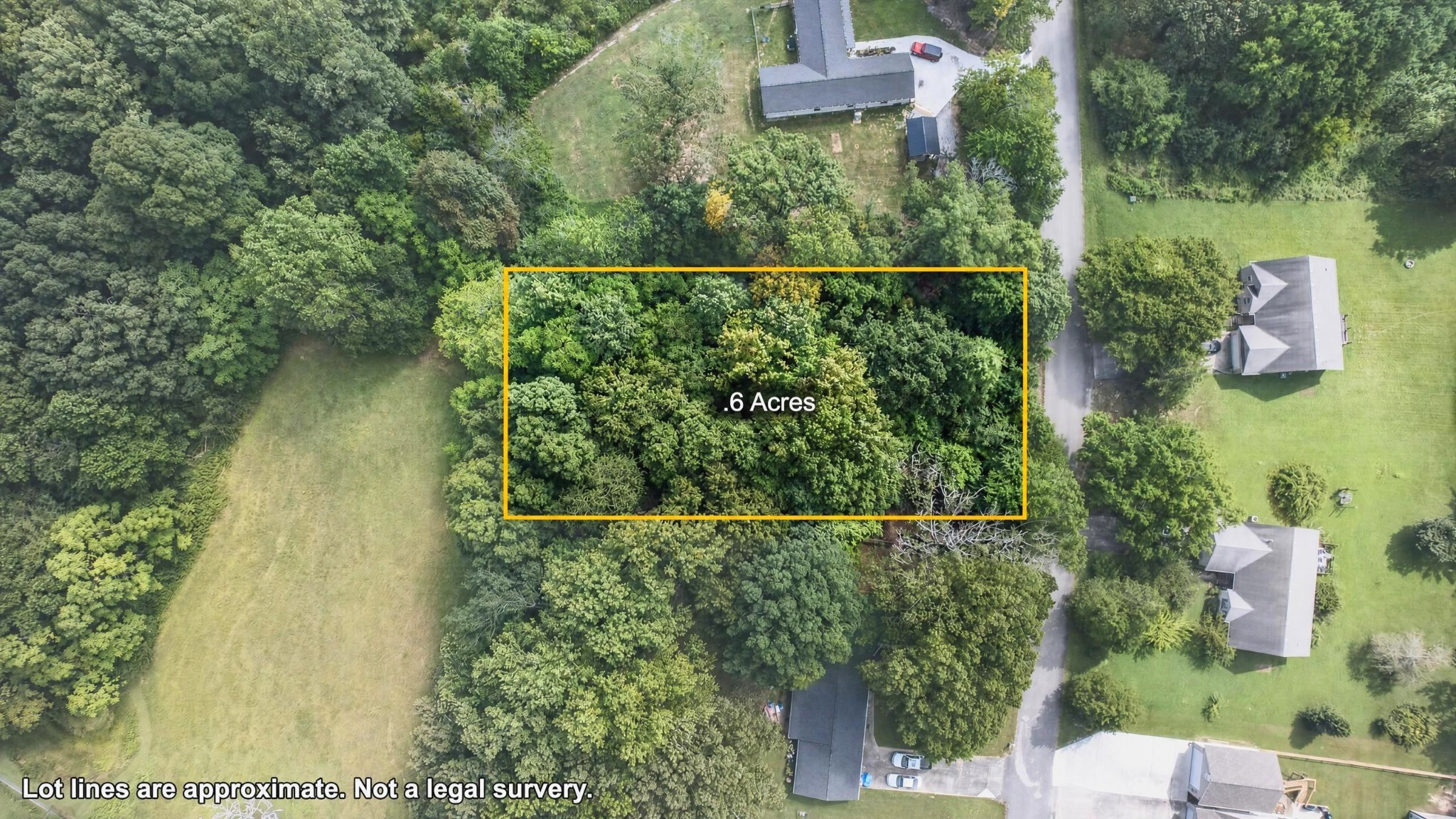 Photo of Listing #3520305