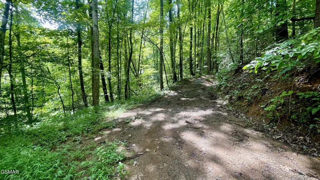 1304 Balsam Circle, Sevierville