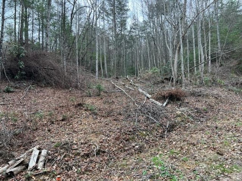 3 Coy Rhea Way, Sevierville
