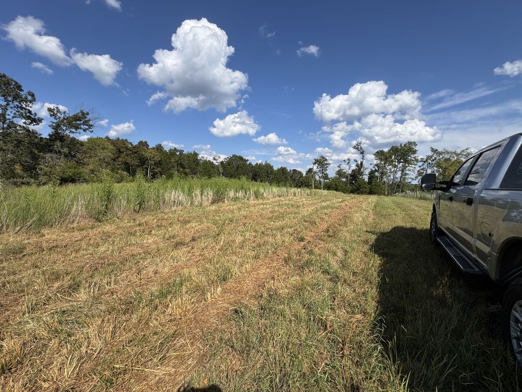 0 Joe Brown Rd, Spring Hill