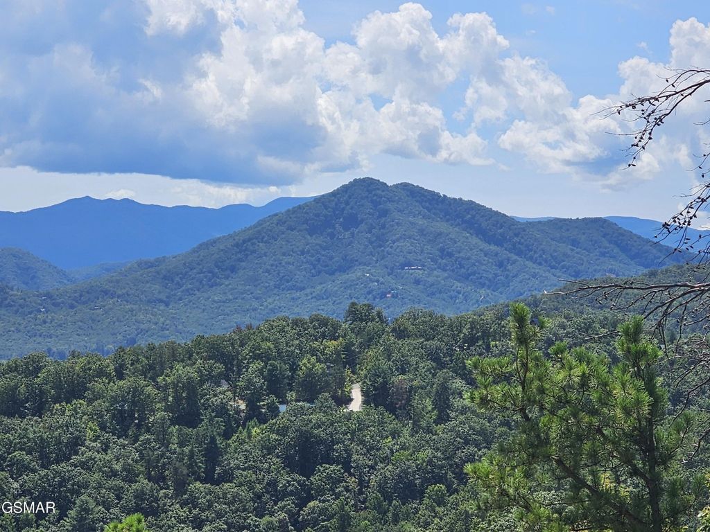 2330 Surries High Top Way, Sevierville