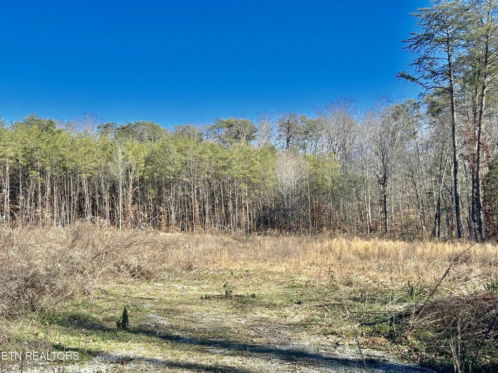 504 Wiggins Rd, Tellico Plains