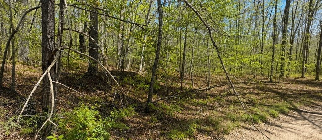 0 Doe Creek Lake Dr, Sparta