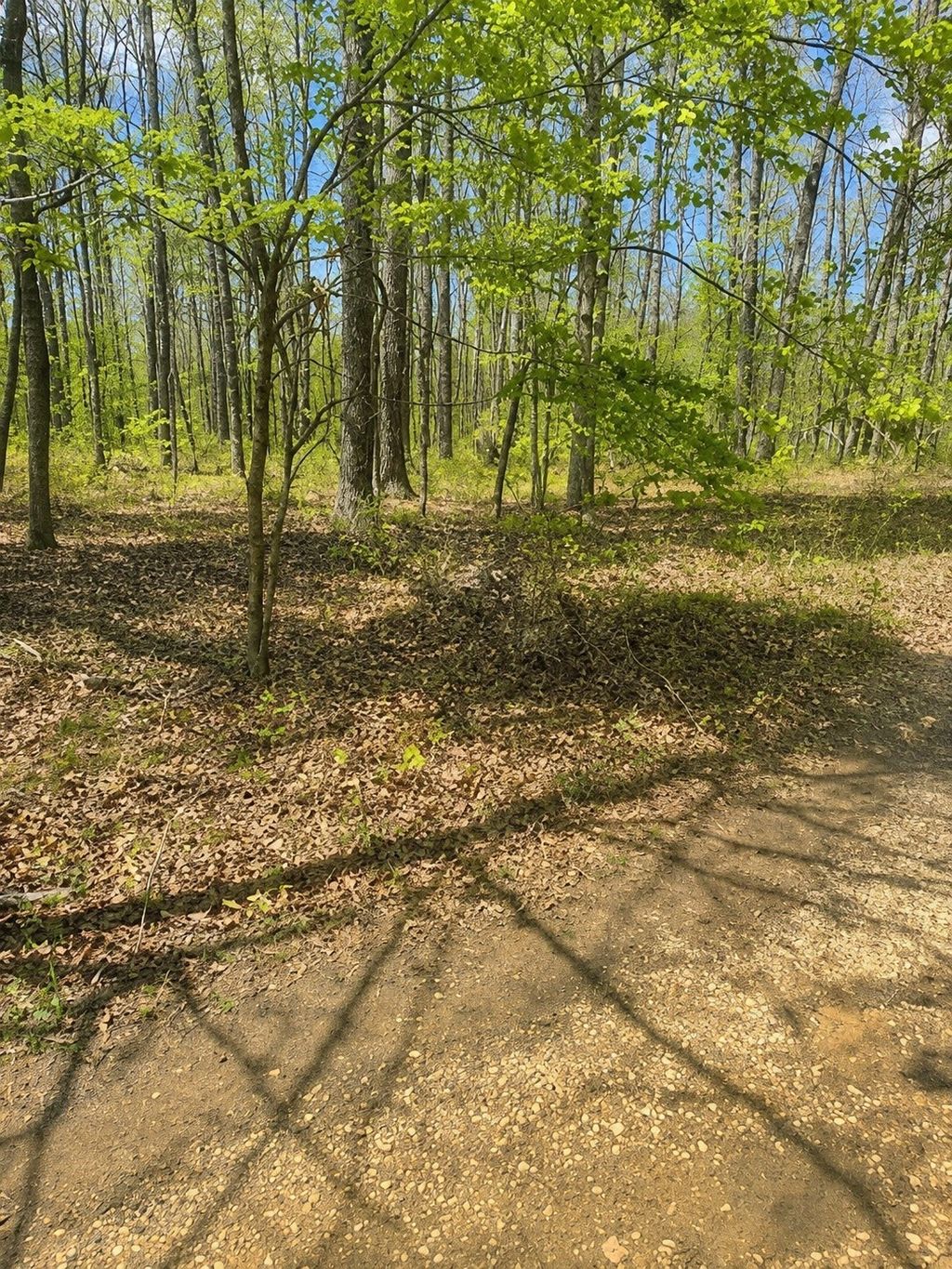 0 Doe Creek Lake Dr, Sparta