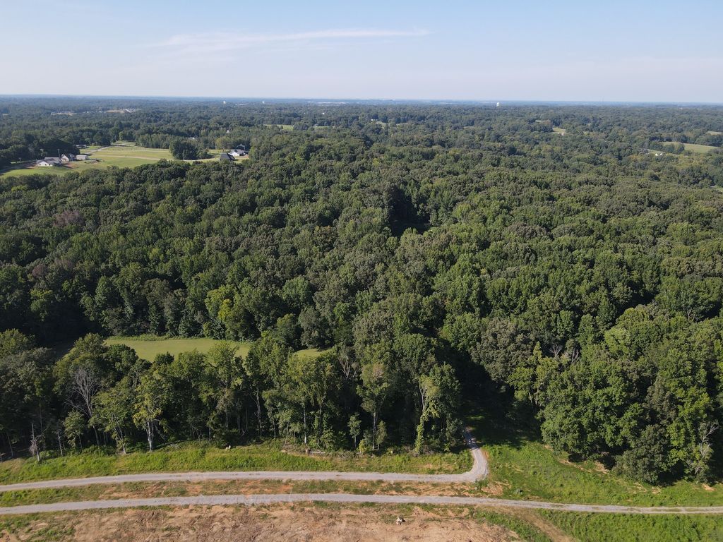 20 Gholson Rd, Clarksville