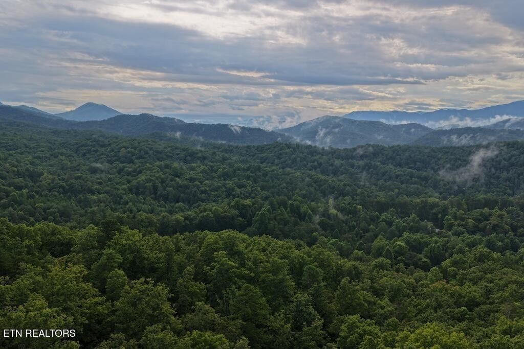 0 Shady Oaks Way, Sevierville