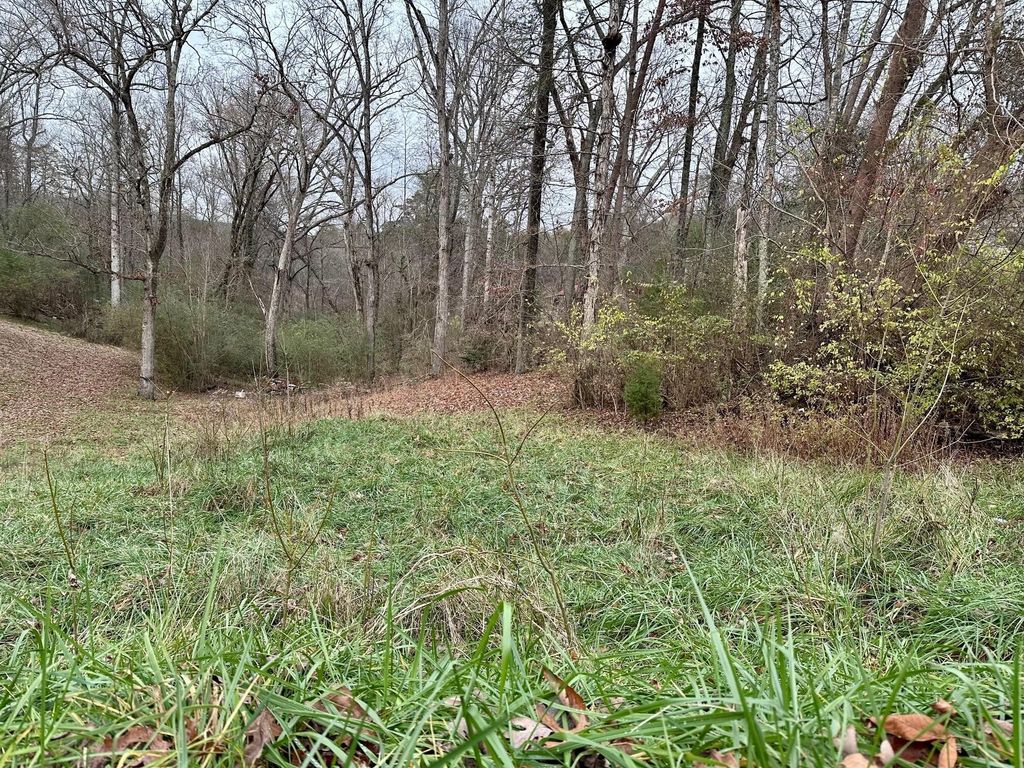 302 Brumlow Hollow Road, Soddy Daisy