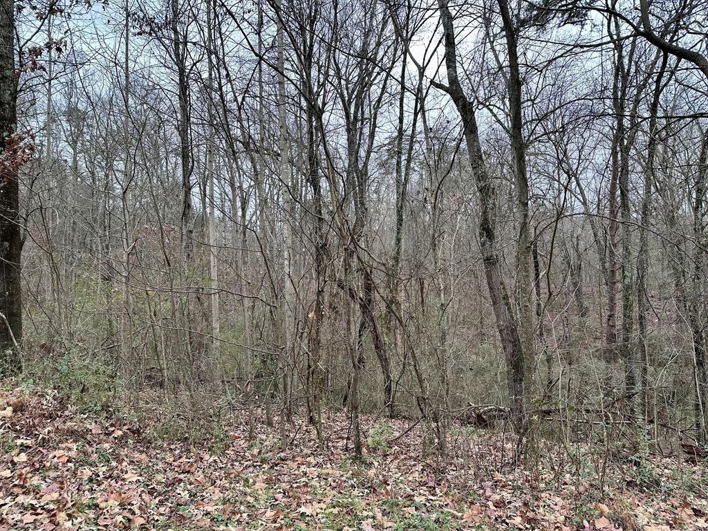 310 Brumlow Hollow Road, Soddy Daisy
