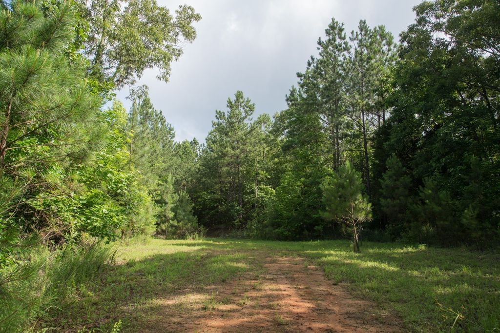 0 Old State Hwy 69, Sugar Tree