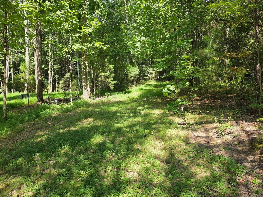 1015 Hotwater Road, Soddy Daisy