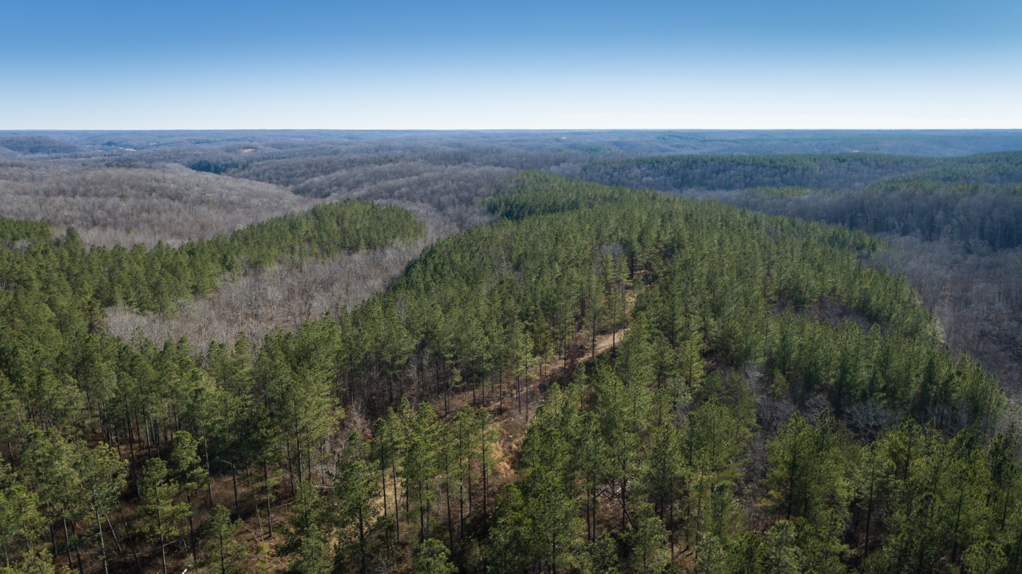 Photo of Listing #3527617