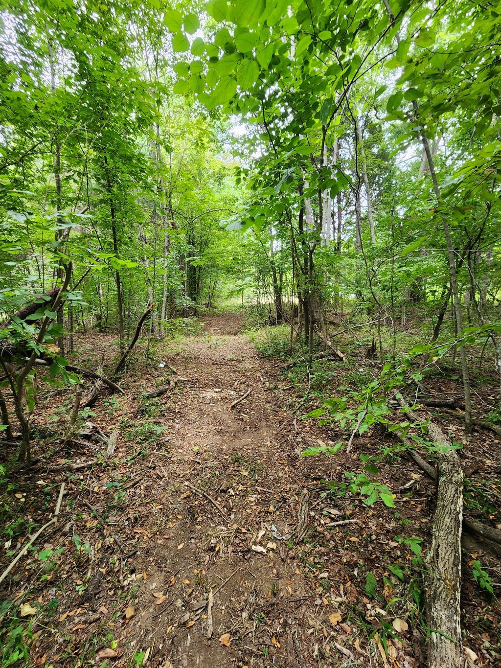 2754 Scribners Mill Rd, Culleoka