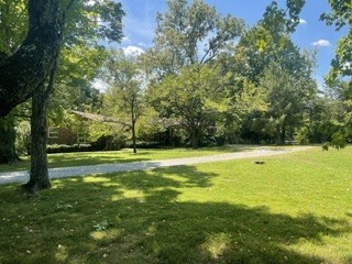 Photo of Listing #3527790