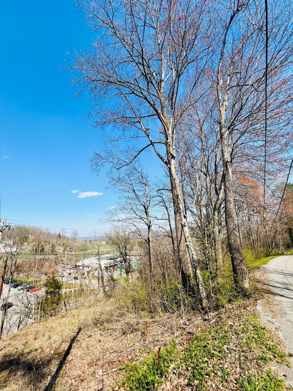 0 Nell St, Tazewell
