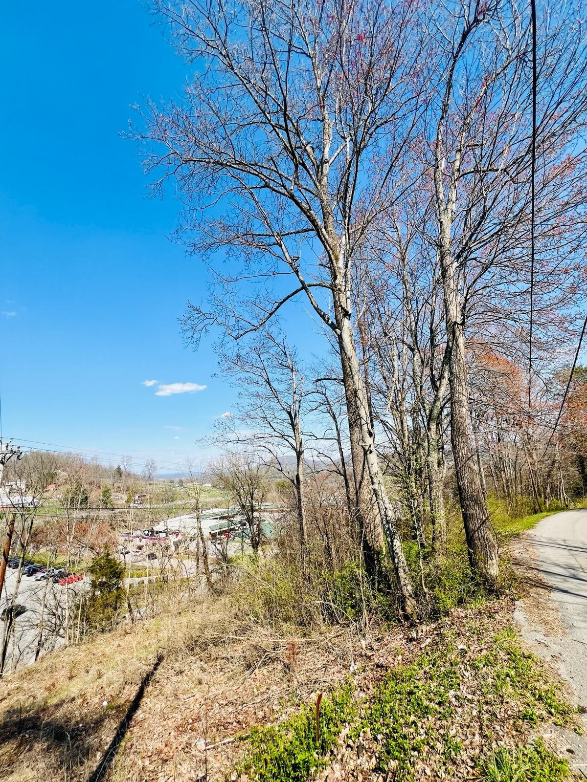 Photo of Listing #3527865