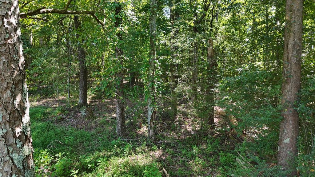 0 Fezzell Road, Decatur