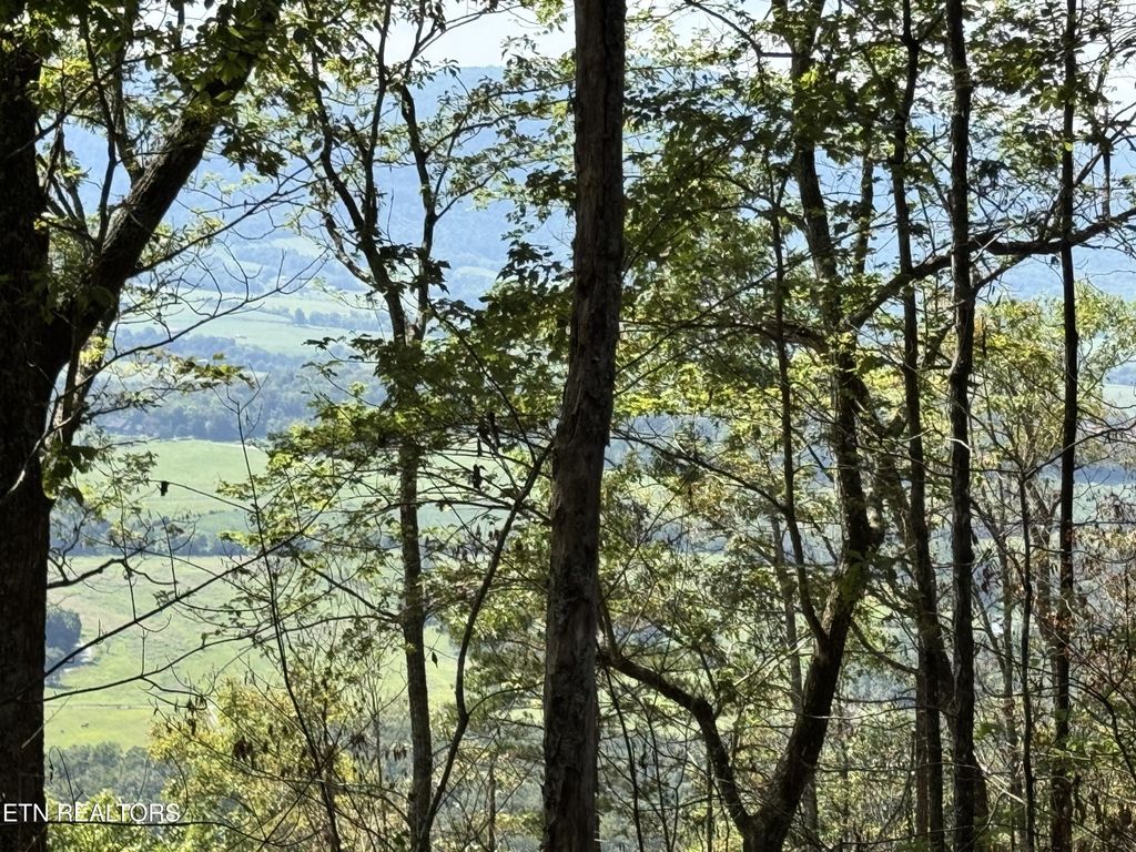 0 Soaring Eagle Rd, Crossville