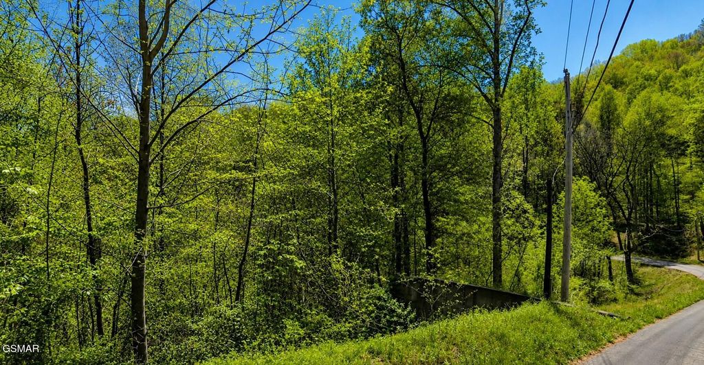 1811 Beach Front Drive, Sevierville
