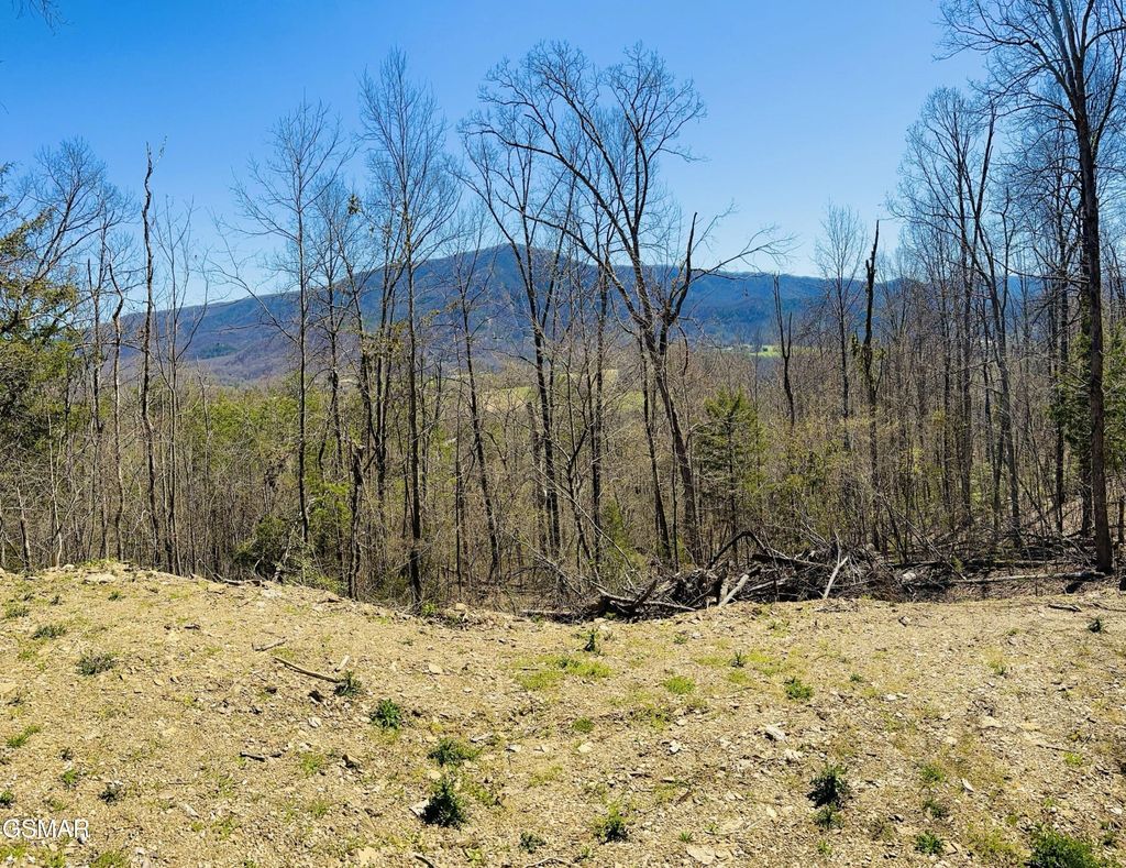0 Quail Way, Sevierville