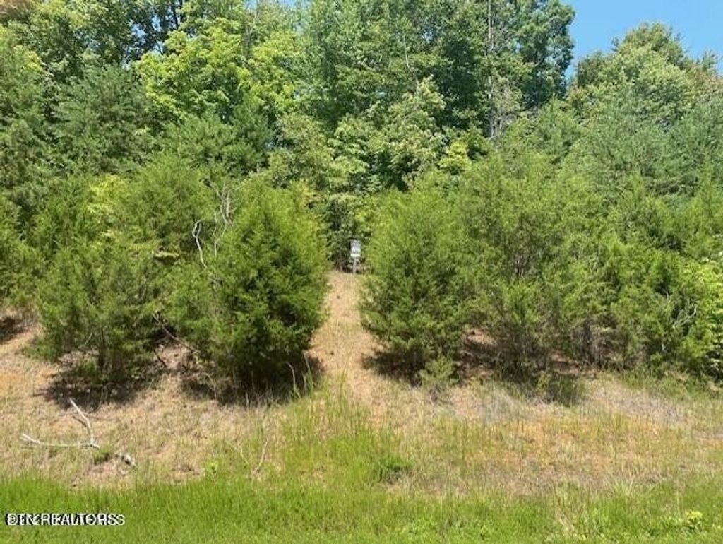 492 Citron Lane, New Tazewell
