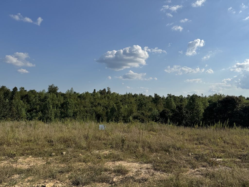 169 Twin Pines Rd, Lobelville