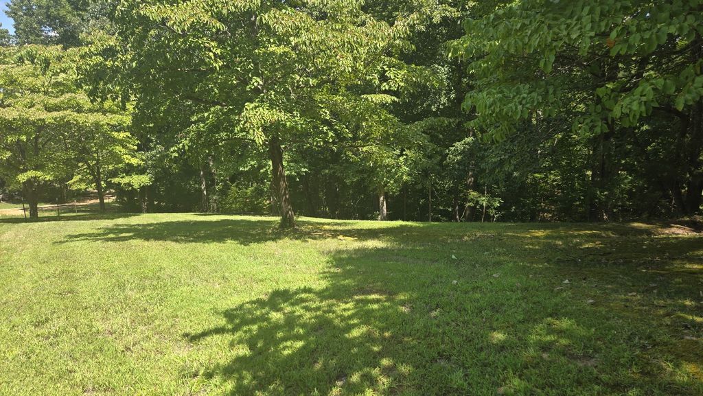 0 Big Ridge Rd, Indian Mound