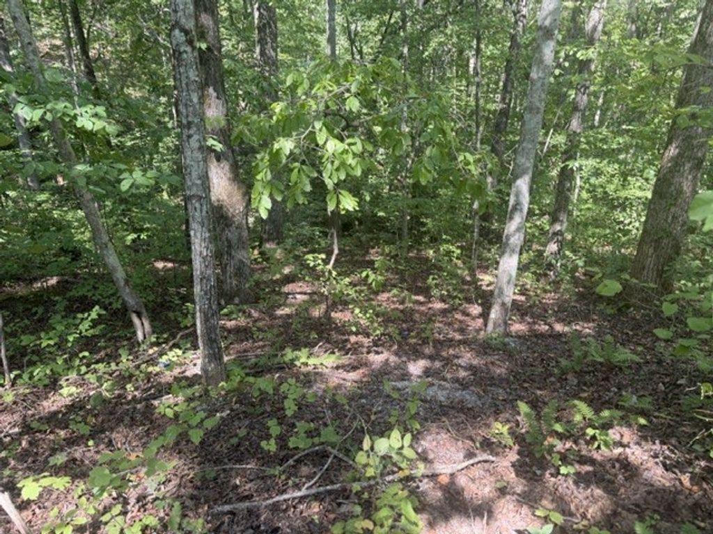 12 Skyline Dr, Smithville