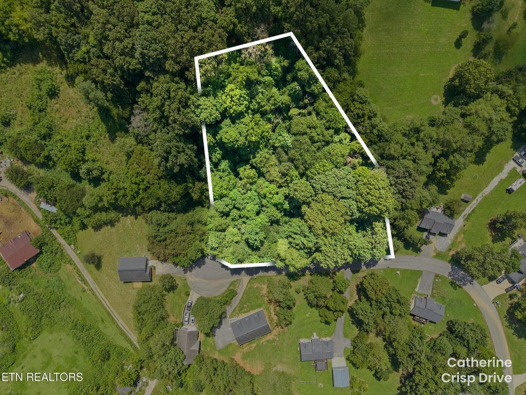 0 Catherine Crisp Drive, Kodak