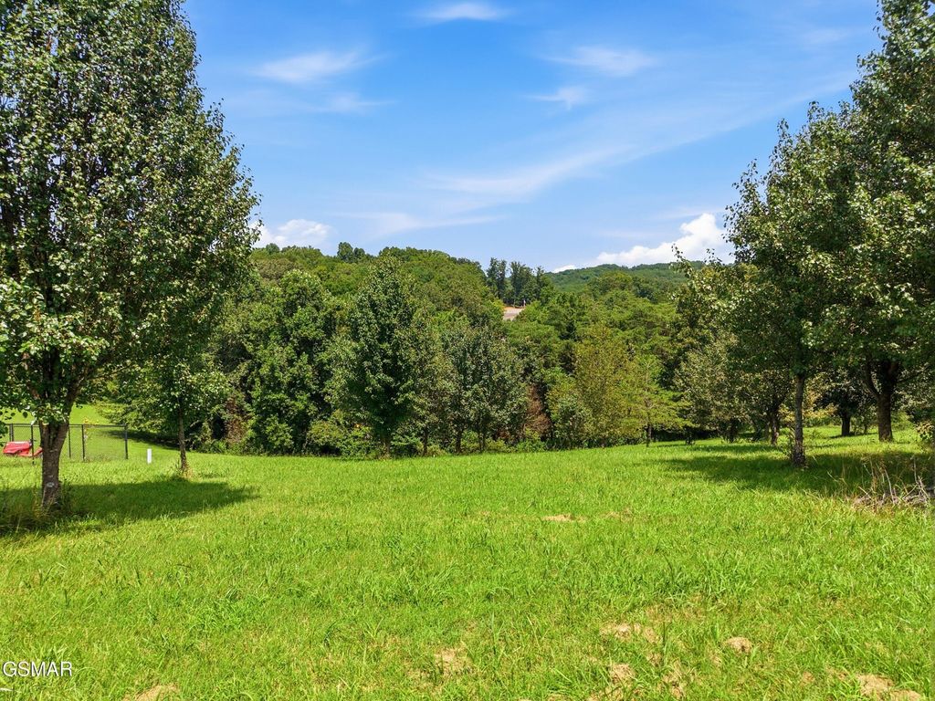 47 River Cliff Drive, Kodak