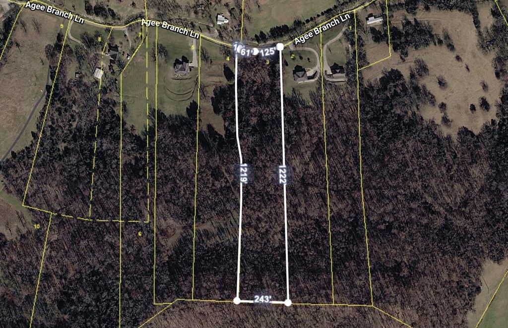 115 Agee Branch Ln, Hickman