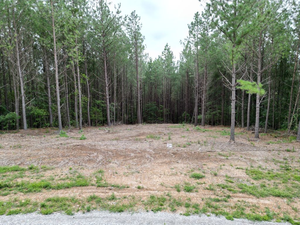297 Ashwood Dr, Linden