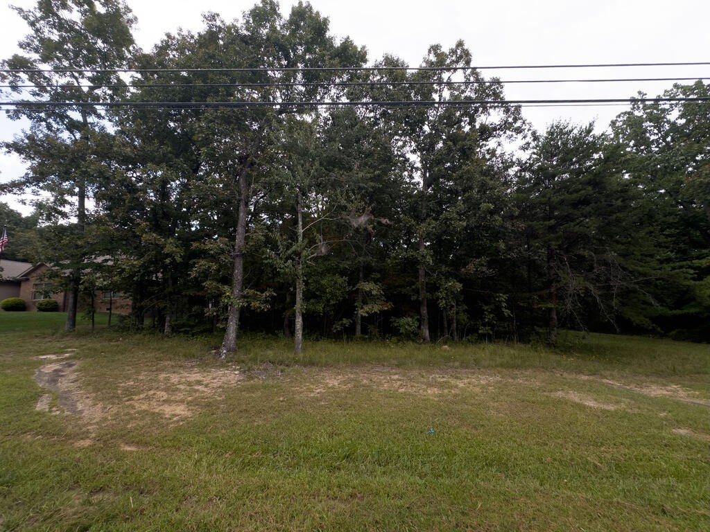 Photo of Listing #3530962