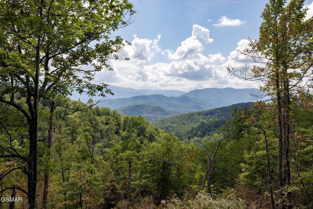 1080 Hembree Hollow Road, Townsend