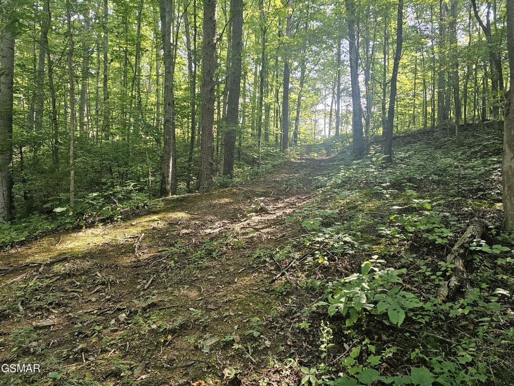 2 Franklin Lane, Sevierville