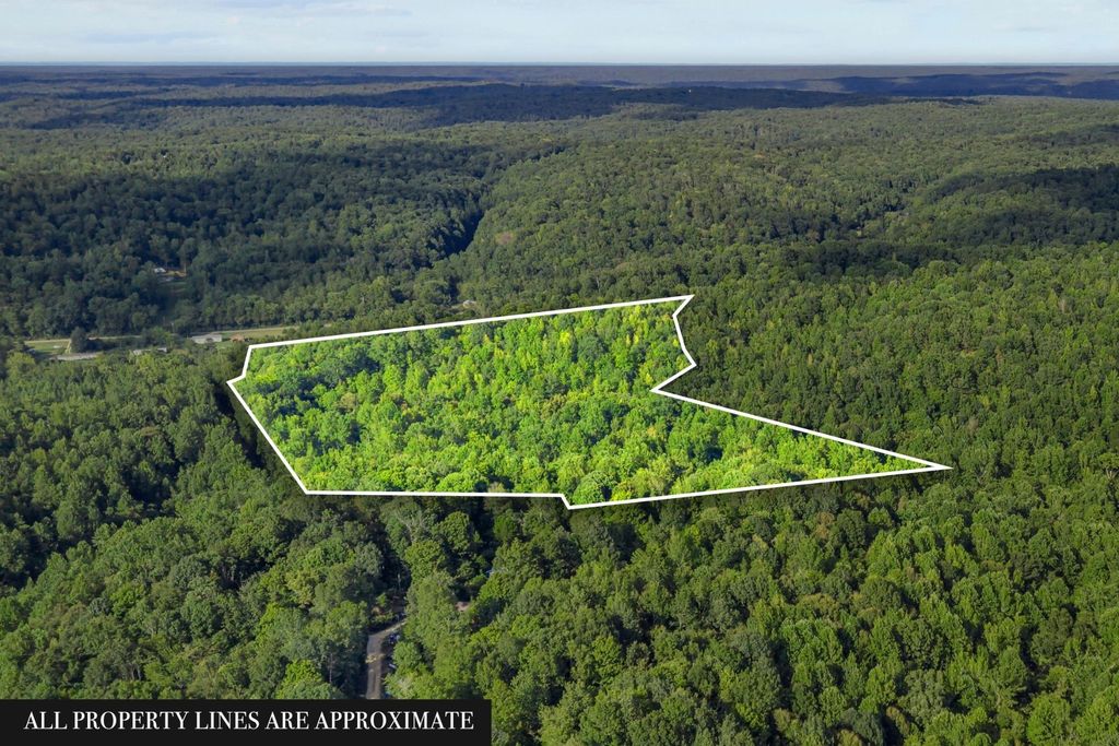 107 Possum Trot Ln, Linden
